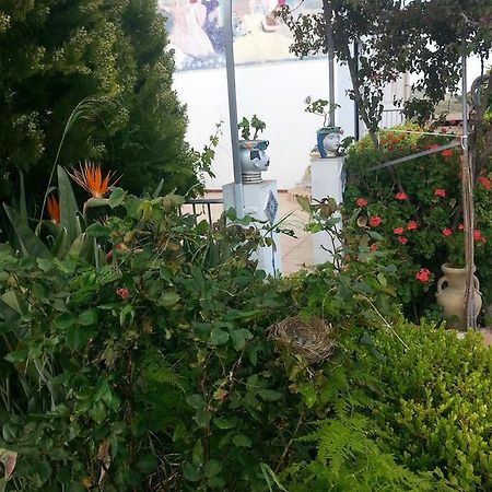B&B La Casa Dell'ArtistaAssoro エクステリア 写真