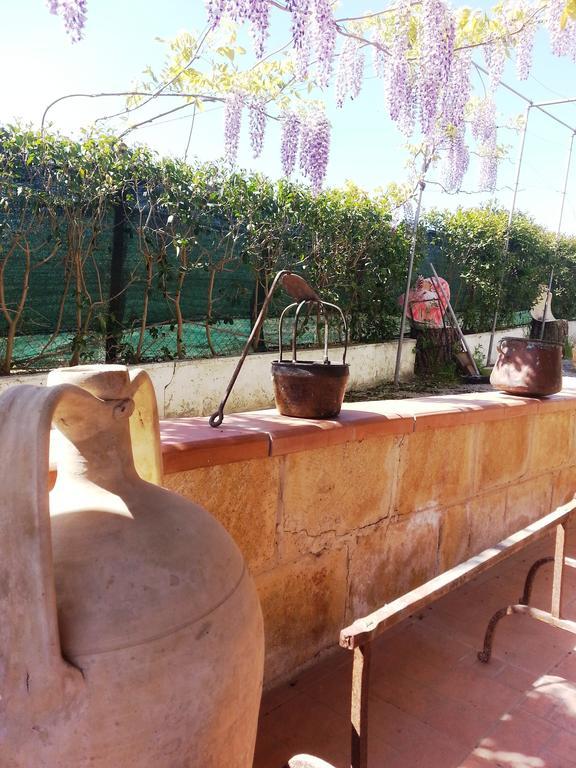 B&B La Casa Dell'ArtistaAssoro エクステリア 写真