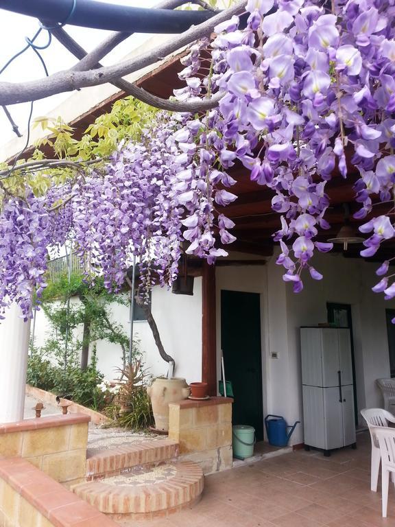 B&B La Casa Dell'ArtistaAssoro エクステリア 写真